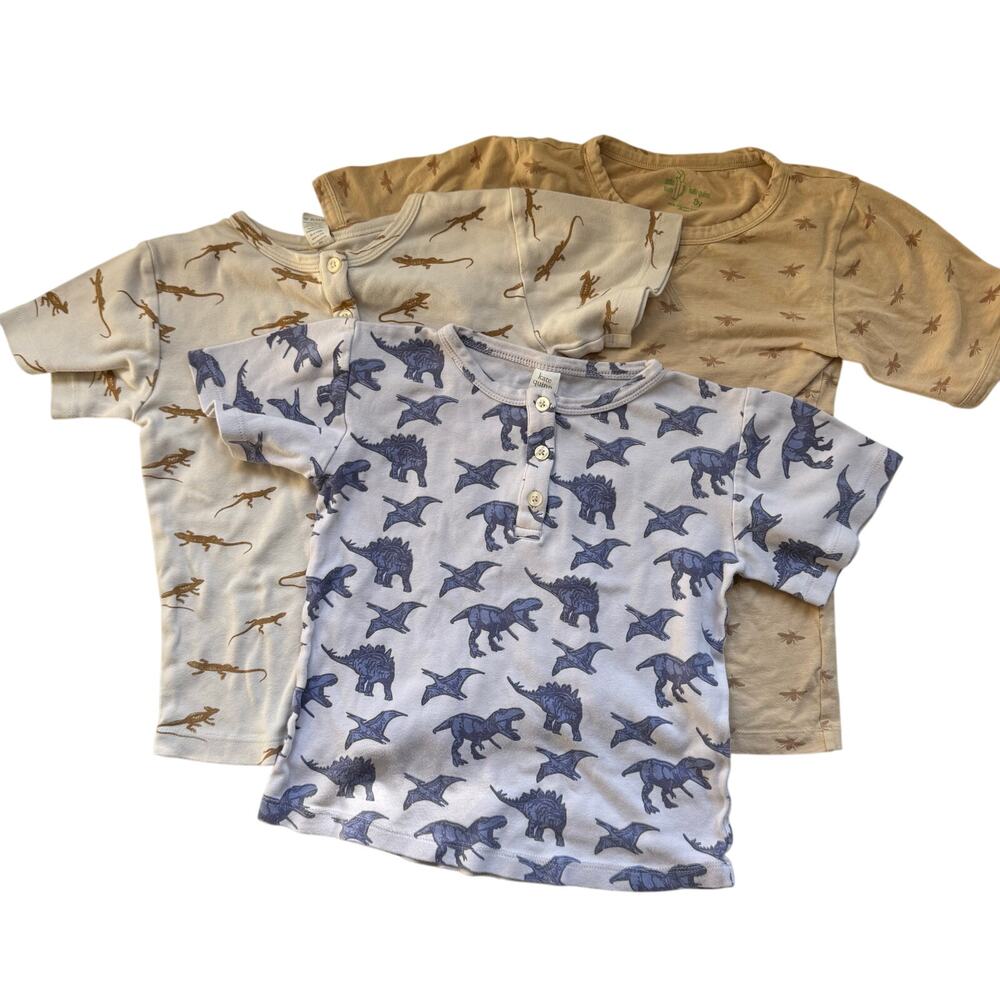 Kate Quinn size 8 Lot of Three Tops Dinosaur Lizard Bee